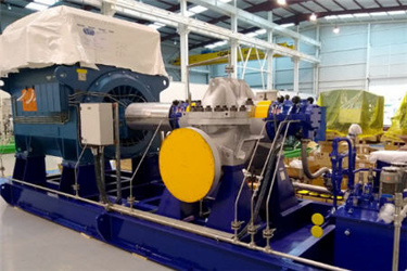 sulzerdesal sulzerdesal