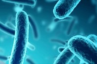 Decontamination Services