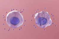 GettyImages-1390395748-cell-metabolism-glucose