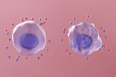 GettyImages-1390395748-cell-metabolism-glucose