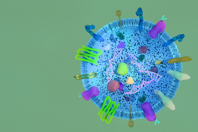 GettyImages-2208925279 - exome, EV, extracellular vesicle, miRNA