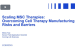 Scaling MSC Therapies