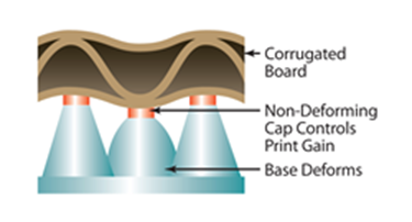 gI_61382_AVCAP_illus gI_61382_AVCAP_illus