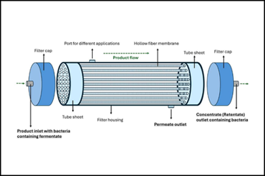 BPO-LBP_Concentration_Feature-450x300