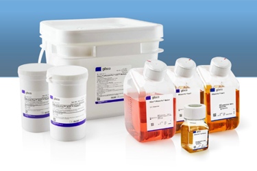 Thermo - Efficient-Pro