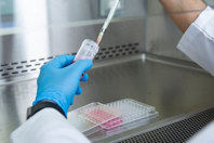 Seed Train Intensification Using High Cell Density Cryopreservation GettyImages-1435391920-cell-culture-development-well-plate