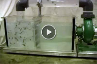 Vaughan Centrifugal Chopper Pump In Action