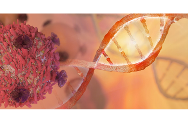 amsbiopr218-image amsbiopr218-image