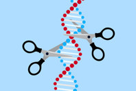 Crispr gene editing-GettyImages-1139760176