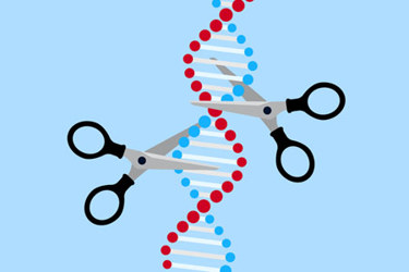 Crispr gene editing-GettyImages-1139760176