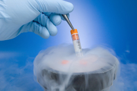 Cryopreservation GettyImages-172640159