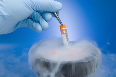 Cryopreservation GettyImages-172640159