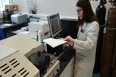 Warwick Analytical Service