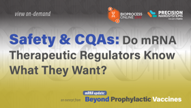 Safety & CQAs: Do mRNA Therapeutic Regulators Know What They Want? 23_10_BPL_mRNA_Webinar_1920x1080_Seg07