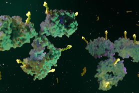 Advanced Linker Payload Solutions Antibody drug conjugates ADCs GettyImages-1715913285