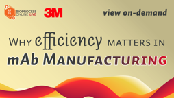 22_06_BPL_UpstreamEffic_Webinar_1920x1080_Seg01