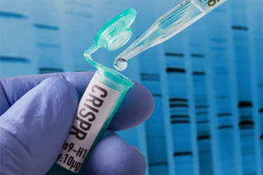 GettyImages-959053706-vial-CRISPR-gene-editing-Cas9 GettyImages-959053706-vial-CRISPR-gene-editing-Cas9