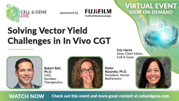 Solving Vector Yield Challenges in In Vivo CGT