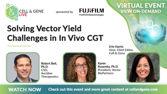 Solving Vector Yield Challenges in In Vivo CGT