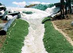 Natural Turf Natural Turf