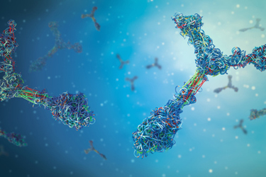 Multicolored antibodies immunoglobulin protein structures-GettyImages-1301300910 Multicolored antibodies immunoglobulin protein structures-GettyImages-1301300910