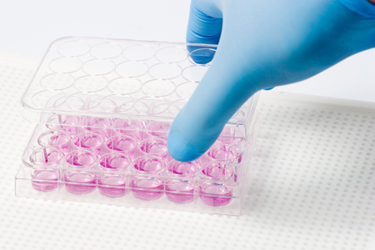 Cell culture-GettyImages-171205974