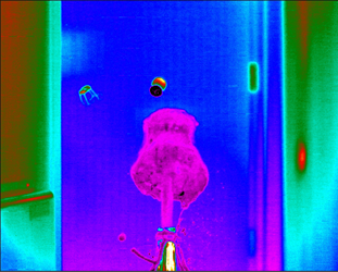 image4 image4