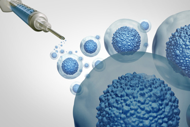 stem cell therapy biology-GettyImages-1318492637 stem cell therapy biology-GettyImages-1318492637