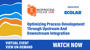 Optimizing Process Development Through Upstream And Downstream Integration