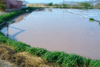 Bio-Augmentation Product Eliminates Odor And Removes Sludge From Waste Lagoons cabo