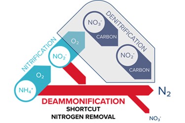 Deammonification Deammonification