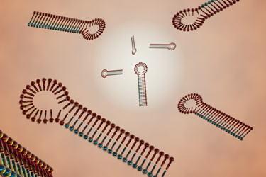 Small interfering RNA or siRNA GettyImages-1450215875