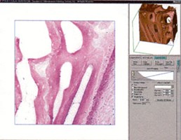 2-D and 3-D Microscopy Software