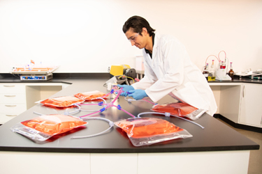 Meissner-Lab-5