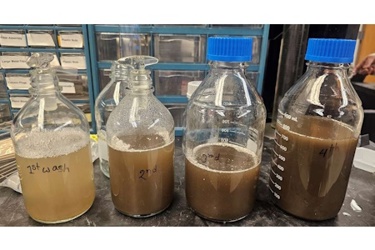 Iowa State University Iowa State University