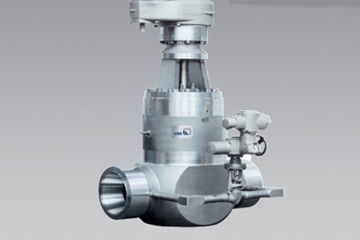 ZTS High Pressure Gate Valve ZTS