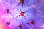 Biology, neurology science, cognition, psychology, mental health disorders-GettyImages-2262456207