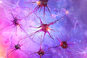 Biology, neurology science, cognition, psychology, mental health disorders-GettyImages-2262456207