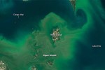 Harmful Algal Bloom