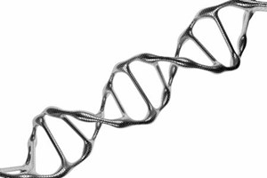 Genome Sequencing - The Key To The Cancer Moonshot?