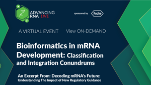 25_05_ARNA_1280x720_Seg08