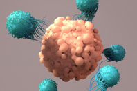 Determination Of Immune Cell Composition And CAR-T Cells GettyImages-1317697237-CAR-T-Cells-Therapy