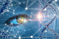 Cell And Gene Therapy For Enhanced CNS And Ocular Delivery In Nonhuman Primates GettyImages-653768094_eye