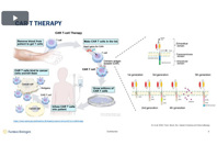 Key Elements For An Improved CAR-T Therapy Cell Microenvironment And Cell Culture Media Are Key Elements For An Improved CAR-T Therapy