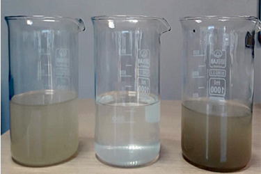turbidity-ppt turbidity-ppt