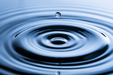 TS-475755641-0217 TS-475755641-0217