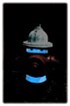 BriteSide Hydrant Collars BriteSide Hydrant Collars