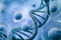 A Novel Transfection System For Cell And Gene Therapy Applications  GettyImages-1439447135-stem-cell-dna
