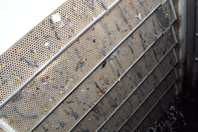 Kearney, MO, Wipes Up Treatment Trouble With Brushless Screening brushless-screening