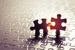 Puzzle Pieces